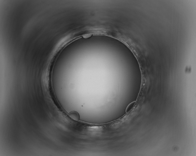 X0000103450053200809121438