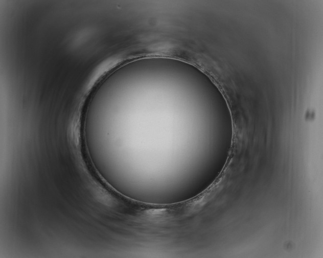 X0000103450054200809121438