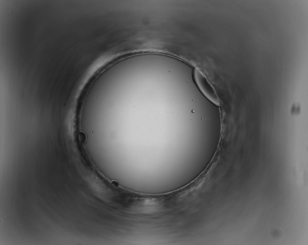 X0000103450056200809121438