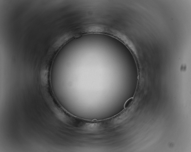 X0000103450057200809121438