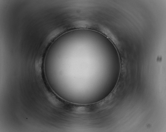 X0000103450058200809121438