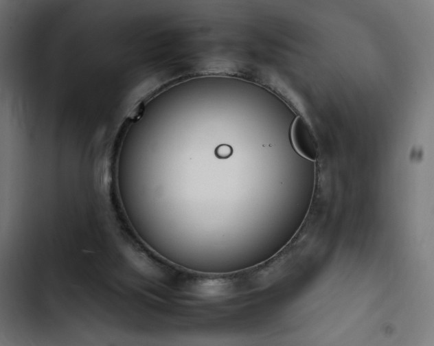 X0000103450059200809121438