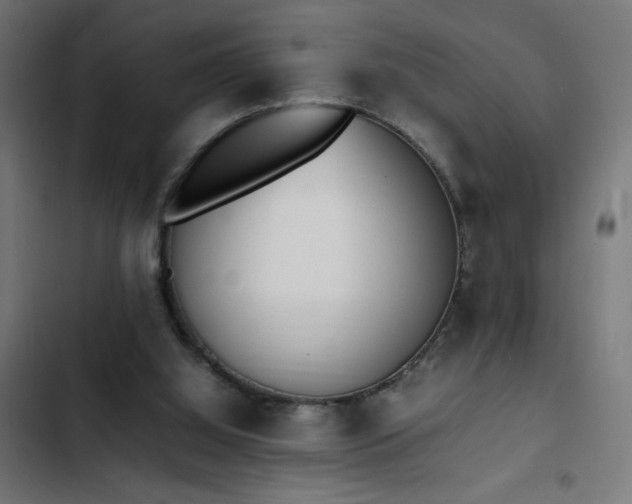 X0000103450060200809121438