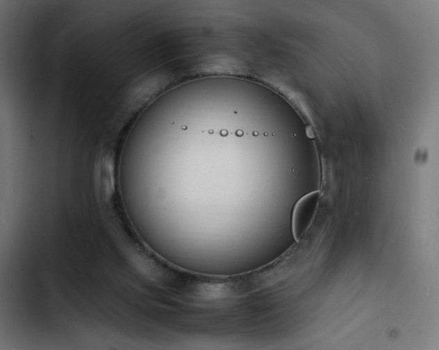 X0000103450061200809121438