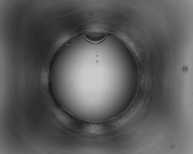 X0000103450063200809121438