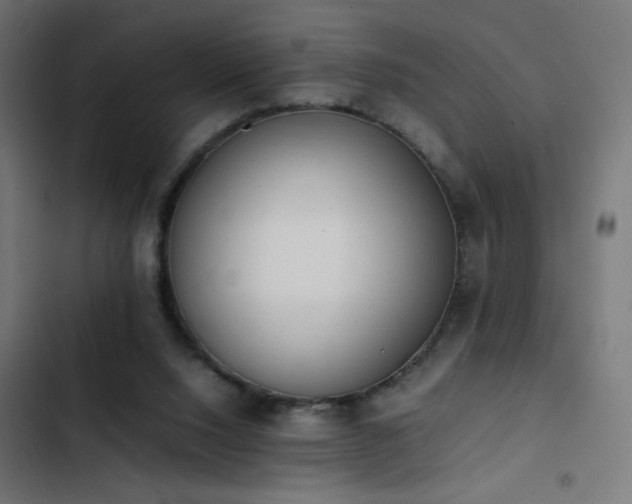 X0000103450064200809121438