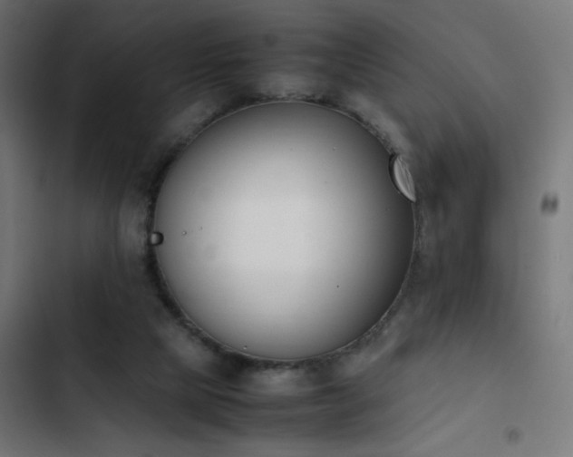 X0000103450065200809121438