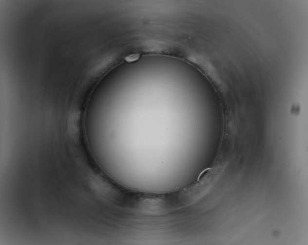 X0000103450066200809121438
