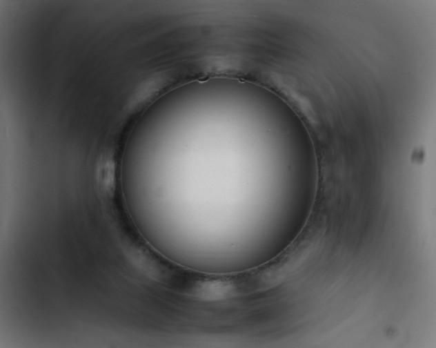 X0000103450067200809121438