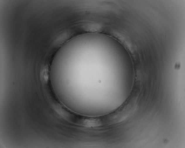 X0000103450069200809121438