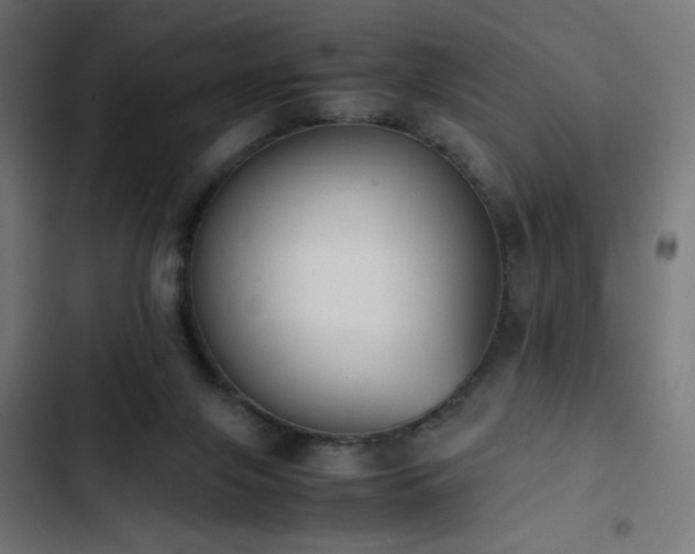 X0000103450071200809121438