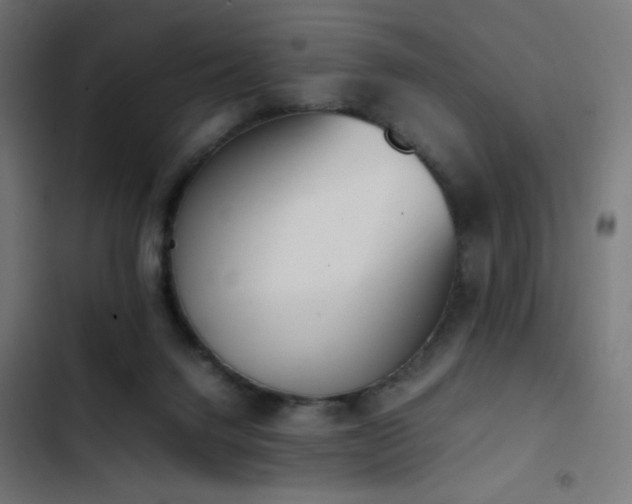 X0000103450072200809121438