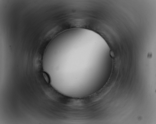 X0000103450073200809121438