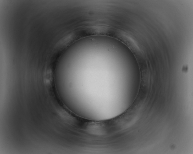 X0000103450077200809121438