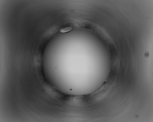 X0000103450078200809121438