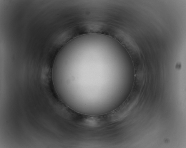 X0000103450079200809121438