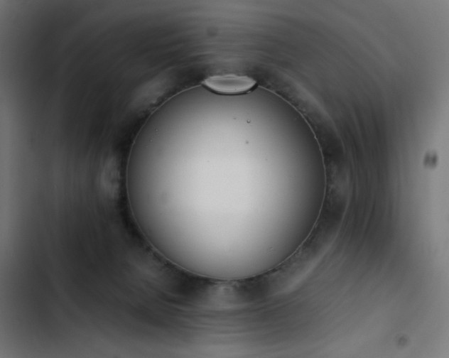 X0000103450080200809121438