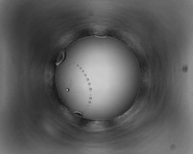 X0000103450082200809121438