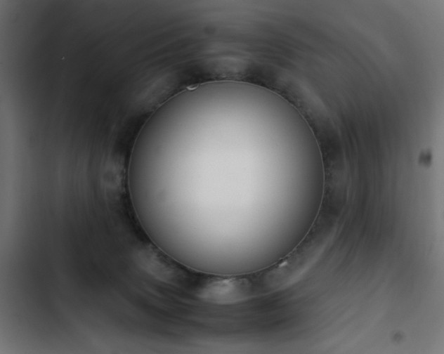 X0000103450083200809121438