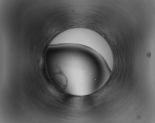 X0000103450084200809121438