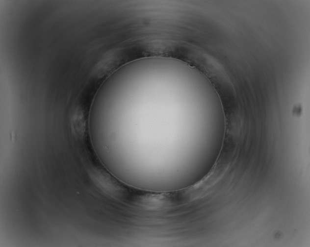 X0000103450086200809121438