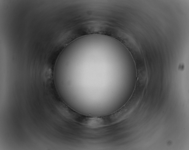 X0000103450087200809121438