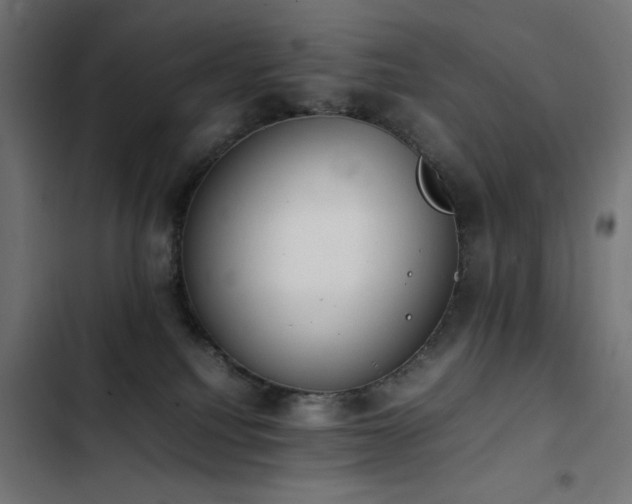 X0000103450088200809121438