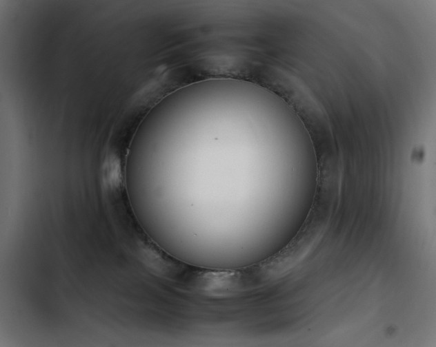 X0000103450089200809121438