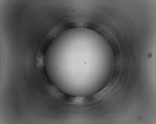 X0000103450090200809121438