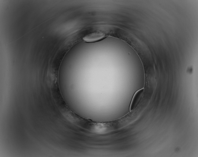 X0000103450091200809121438