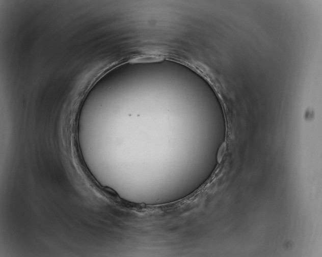 X0000103450097200809121438