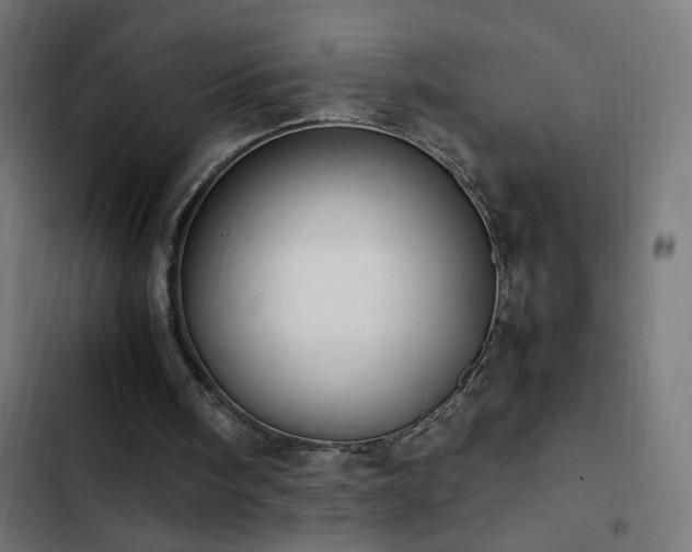 X0000103450098200809121437