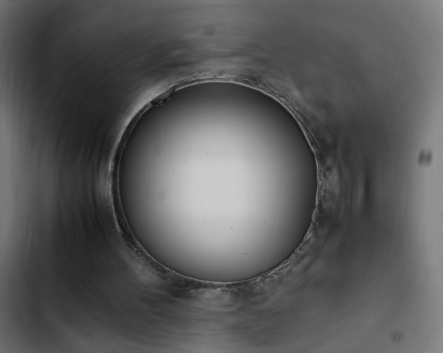 X0000103450100200809121437