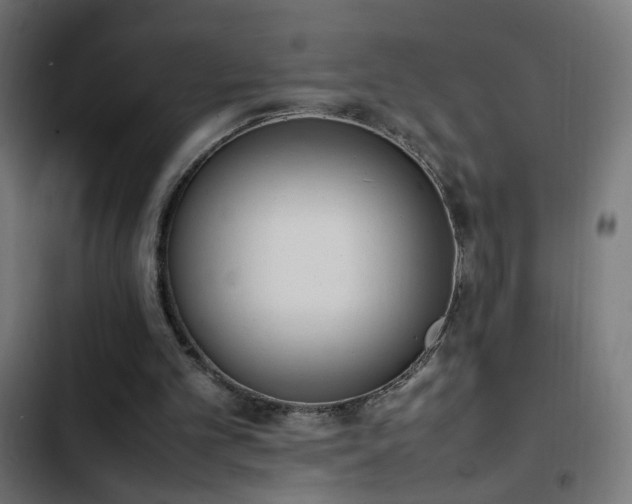 X0000103450101200809121437