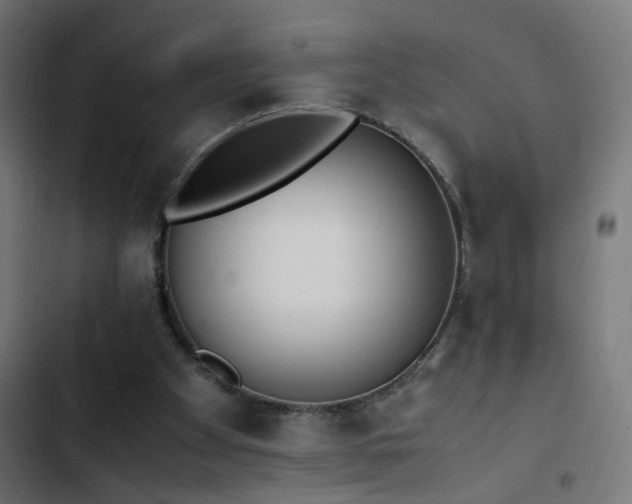 X0000103450105200809121437