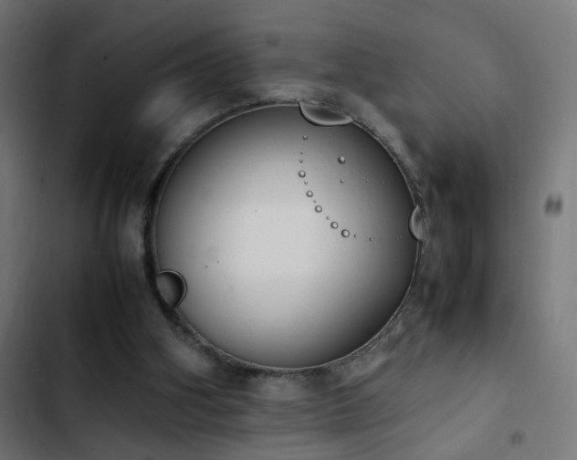 X0000103450106200809121437