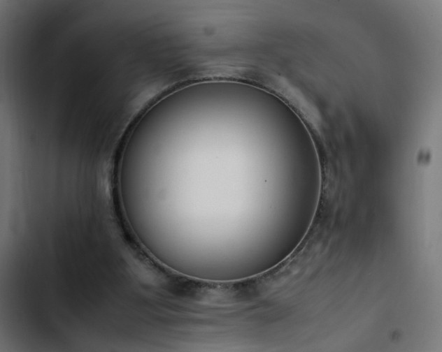 X0000103450107200809121437