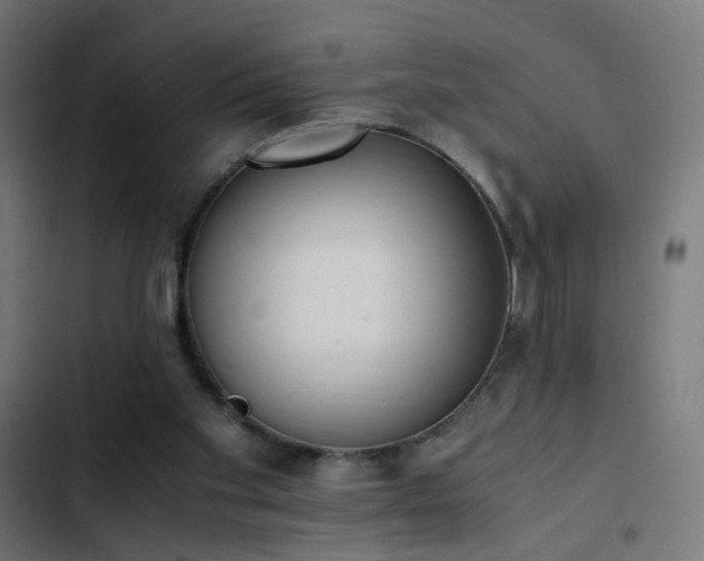X0000103450109200809121437