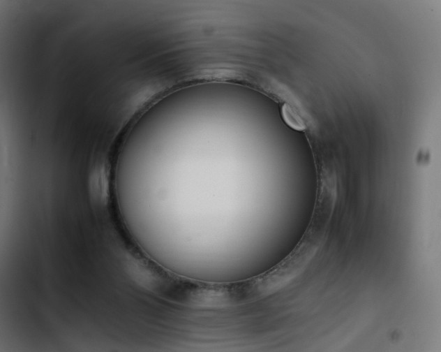 X0000103450110200809121437