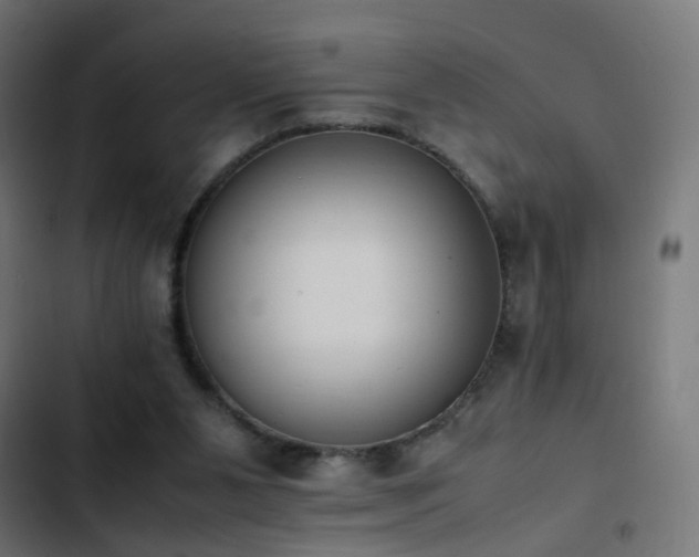 X0000103450111200809121437