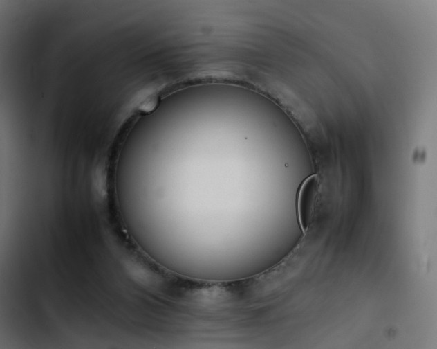 X0000103450112200809121437