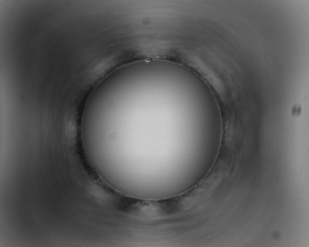 X0000103450113200809121437