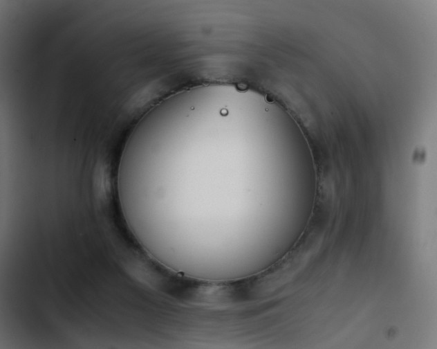 X0000103450117200809121437