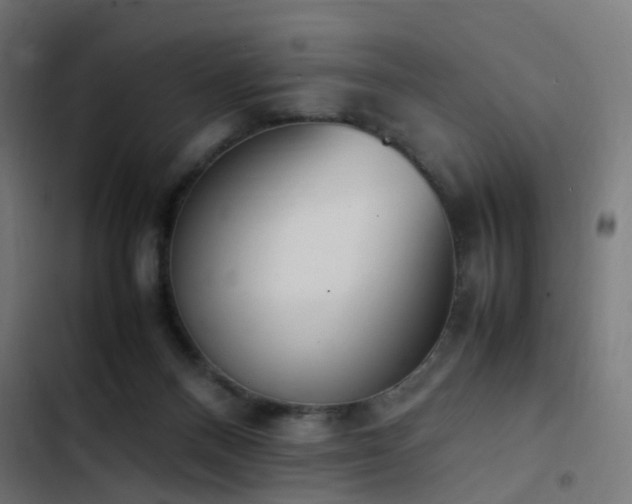 X0000103450120200809121437