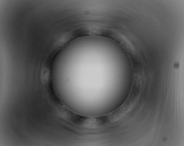 X0000103450123200809121437