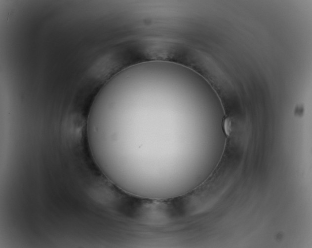 X0000103450125200809121437