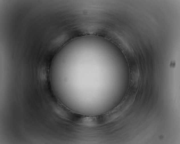 X0000103450126200809121437