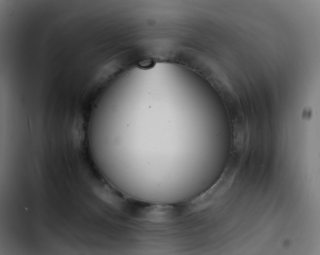 X0000103450128200809121437