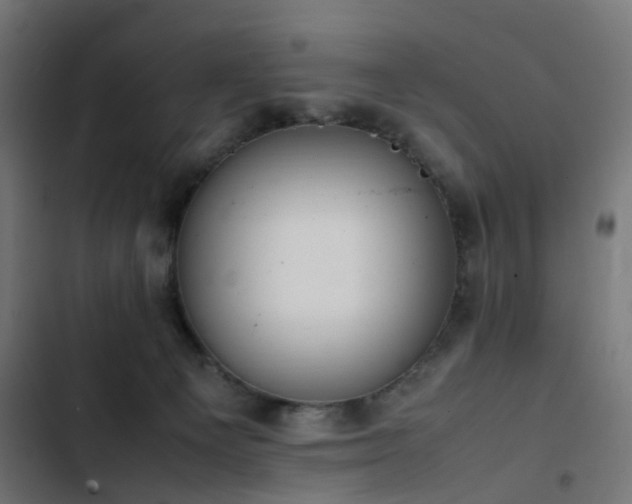 X0000103450129200809121437