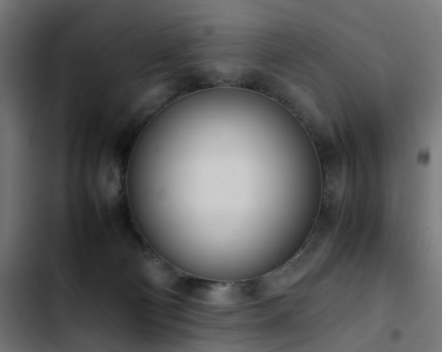 X0000103450130200809121437